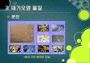 [대기오염]대기오염의 원인과 유발 물질, 대기오염의 심각성과 문제해결을 위한 과제, 대기오염 경감 대책 20페이지