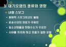 [대기오염]대기오염의 원인과 유발 물질, 대기오염의 심각성과 문제해결을 위한 과제, 대기오염 경감 대책 28페이지