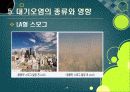 [대기오염]대기오염의 원인과 유발 물질, 대기오염의 심각성과 문제해결을 위한 과제, 대기오염 경감 대책 29페이지