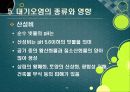[대기오염]대기오염의 원인과 유발 물질, 대기오염의 심각성과 문제해결을 위한 과제, 대기오염 경감 대책 33페이지