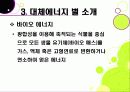 [대체에너지]대체에너지의 모든 것, 대체에너지의 종류와 각각의 장단점, 대체에너지의 필요성과 중요성, 미래를 위한 대체에너지 개발 25페이지