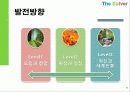 경영전략론   16페이지