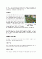 [도시농업]도시농업의 필요성, 도시농업의 효과와 장점, 도시농업과 생태도시 활용사례(쿠바, 퍼머컬쳐, 클라인가르텐) 4페이지