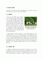 [도시림]도시림이란? 도시림의 이해와 활용, 녹지공간 확보를 위한 도시림 조성방안, 도시림의 중요성과 주요 기능 2페이지