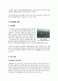 [도시림]도시림이란? 도시림의 이해와 활용, 녹지공간 확보를 위한 도시림 조성방안, 도시림의 중요성과 주요 기능 5페이지