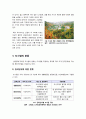 [도시림]도시림이란? 도시림의 이해와 활용, 녹지공간 확보를 위한 도시림 조성방안, 도시림의 중요성과 주요 기능 9페이지