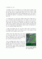 [비오톱]비오톱(Biotope) 정의와 특징, 생태도시의 녹지공간 확보를 위한 비오톱 조성, 비오톱의 기능과 필요성 및 중요성 3페이지