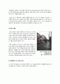 [비오톱]비오톱(Biotope) 정의와 특징, 생태도시의 녹지공간 확보를 위한 비오톱 조성, 비오톱의 기능과 필요성 및 중요성 7페이지