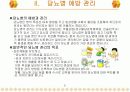 당뇨병의 정의와 예방관리 10페이지