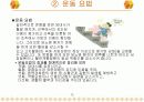 당뇨병의 정의와 예방관리 15페이지