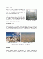 [환경오염]환경오염문제의 원인과 심각성, 환경오염별 피해사례와 환경오염별 대책 및 예방법, 환경오염의 모든 것 7페이지