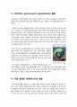 [환경오염]환경오염문제의 원인과 심각성, 환경오염별 피해사례와 환경오염별 대책 및 예방법, 환경오염의 모든 것 19페이지