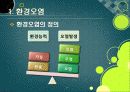 [환경오염]환경오염 원인과 발생 배경, 환경오염별 종류 및 피해사례, 환경오염 극복을 위한 해결과제 7페이지