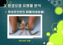 [환경오염]환경오염 원인과 발생 배경, 환경오염별 종류 및 피해사례, 환경오염 극복을 위한 해결과제 47페이지