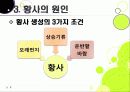 [황사]황사 발생의 원인과 대처방안, 황사 문제의 심각성과 황사로 인한 피해 규모, 황사 피해 경감을 위한 근본적인 해결책 모색 8페이지