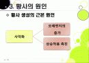 [황사]황사 발생의 원인과 대처방안, 황사 문제의 심각성과 황사로 인한 피해 규모, 황사 피해 경감을 위한 근본적인 해결책 모색 10페이지