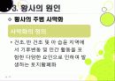 [황사]황사 발생의 원인과 대처방안, 황사 문제의 심각성과 황사로 인한 피해 규모, 황사 피해 경감을 위한 근본적인 해결책 모색 11페이지