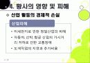 [황사]황사 발생의 원인과 대처방안, 황사 문제의 심각성과 황사로 인한 피해 규모, 황사 피해 경감을 위한 근본적인 해결책 모색 25페이지