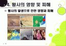 [황사]황사 발생의 원인과 대처방안, 황사 문제의 심각성과 황사로 인한 피해 규모, 황사 피해 경감을 위한 근본적인 해결책 모색 26페이지