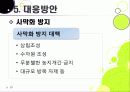 [황사]황사 발생의 원인과 대처방안, 황사 문제의 심각성과 황사로 인한 피해 규모, 황사 피해 경감을 위한 근본적인 해결책 모색 29페이지