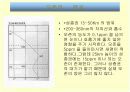 오존층파괴와우리의대책 5페이지