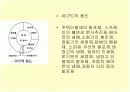 오존층파괴와우리의대책 17페이지