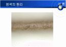 머리염색의원리응용화학 5페이지