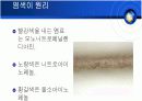 머리염색의원리응용화학 6페이지