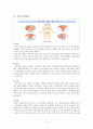 부신피질기능항진증 2페이지
