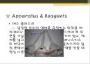 모아법과 파얀스법 발표 ppt 24페이지