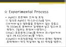 모아법과 파얀스법 발표 ppt 29페이지