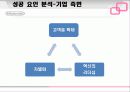 닌텐도의 성공 사례 분석 22페이지