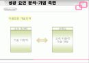 닌텐도의 성공 사례 분석 24페이지