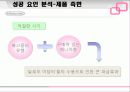 닌텐도의 성공 사례 분석 29페이지