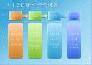 ERP&BPR대한 설명, 정보, 예시 6페이지