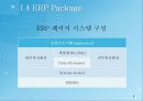 ERP&BPR대한 설명, 정보, 예시 8페이지