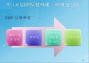 ERP&BPR대한 설명, 정보, 예시 10페이지