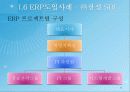 ERP&BPR대한 설명, 정보, 예시 11페이지