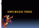 SCM에 대한 설명, 정보, 예시 15페이지