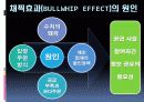 SCM에 대한 설명, 정보, 예시 30페이지