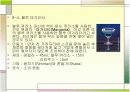 [주류학] 칵테일 14페이지