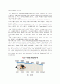 [소비자행동]노트북 소비자 구매요인 분석 및 삼성노트북 ‘센스(SENS)' 마케팅전략(A+리포트) 18페이지