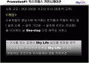 스카이라이프 프로모션 전략 4페이지