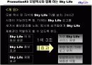 스카이라이프 프로모션 전략 8페이지