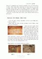 고구려 고분벽화 설명 14페이지