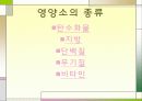 영양소에 대해서 3페이지