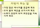영양소에 대해서 6페이지