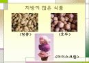 영양소에 대해서 7페이지