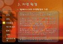 말레이시아 국가분석 10페이지