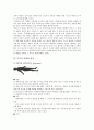 요가의 수행법, 자세, 효과 6페이지
